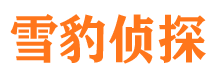 代县市场调查